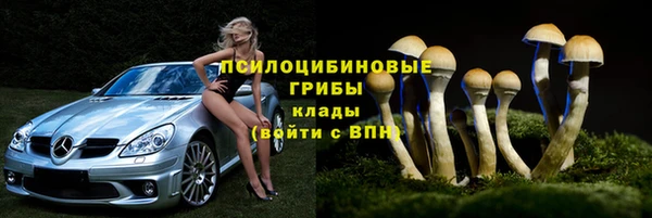 ECSTASY Верея