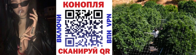 даркнет наркотические препараты Кувандык Шишки марихуана Amnesia